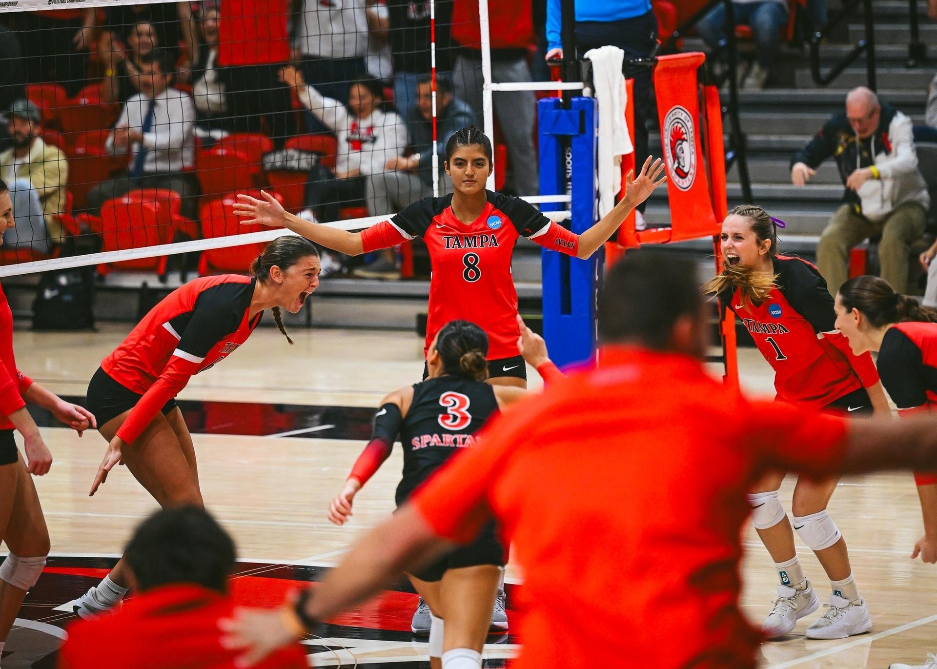 Tampa heads to the DII women's volleyball finals yet again.